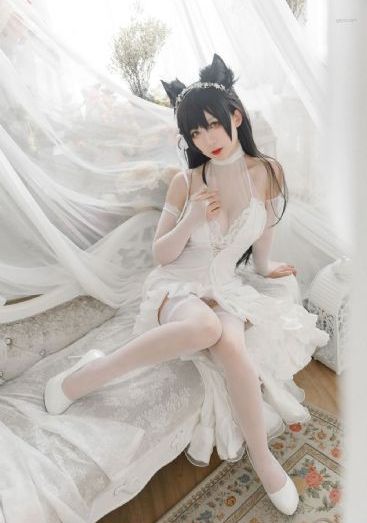 我是特种兵在线观看_4K在线观看高清